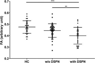 Sciatic nerve fractional anisotropy and neurofilament light chain protein are related to sensorimotor deficit of the upper and lower limbs in patients with type 2 diabetes